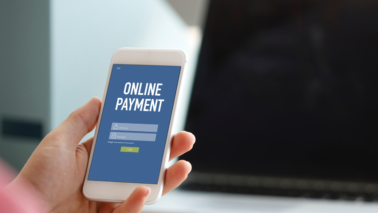 Payment systems in an online store